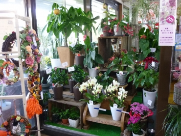 「フラワーショップのなか」　（静岡県浜松市中央区）の花屋店舗写真4