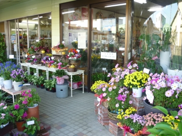 「フラワーショップのなか」　（静岡県浜松市中央区）の花屋店舗写真1